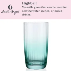Darbie Angell Good Day Teal Set of 4 Highball Glasses