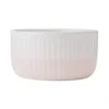 Darbie Angell Rising Up Blush 12 Piece Dinnerware Set, Service for 4