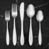 Jasmine 30 Piece Flatware Set With Caddy, Service for 6