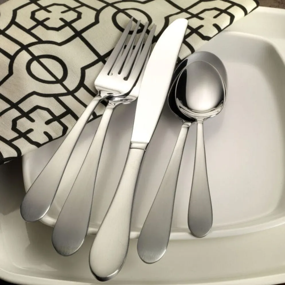 Salisbury Satin 20 Piece Flatware Set, Service for 4