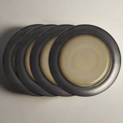 Sandstone Set of 4 Dinner Plates