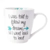 Sentiment Mugs Follow My Dreams Mug